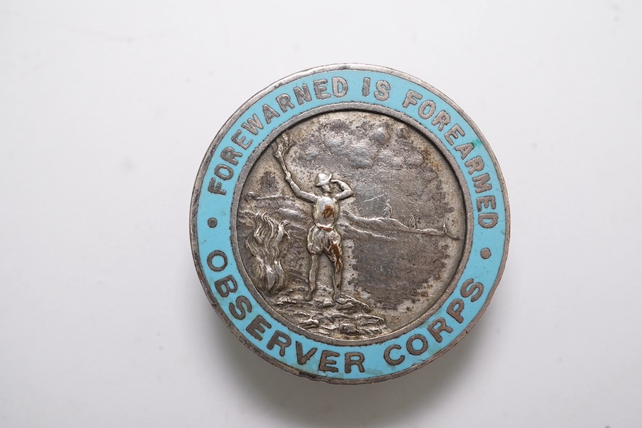 An ERII (B) Royal Observer Corps medal to Observer W.Cook with a lapel badge. Condition - fair.